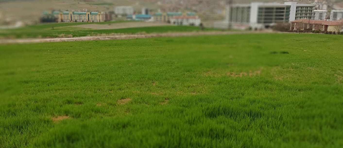 Afyon’da sağlıklı turizme uygun arsalar ilgi çekiyor