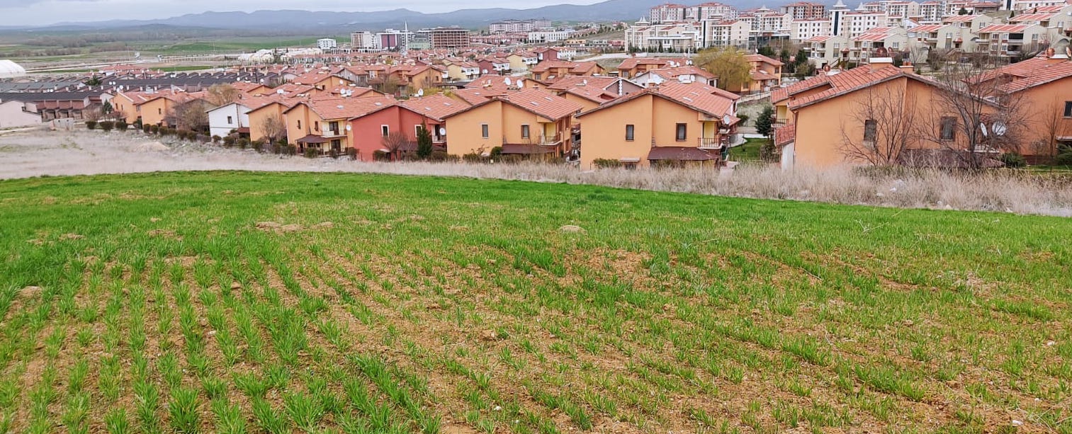 Afyon’da sağlıklı turizme uygun arsalar ilgi çekiyor
