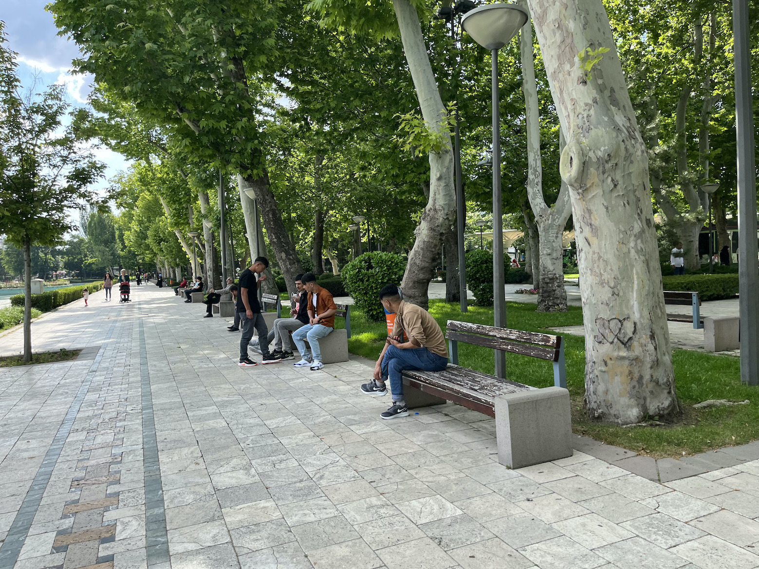 Ankara gençlik parkı adeta göçmenlerin parkına dönüştü