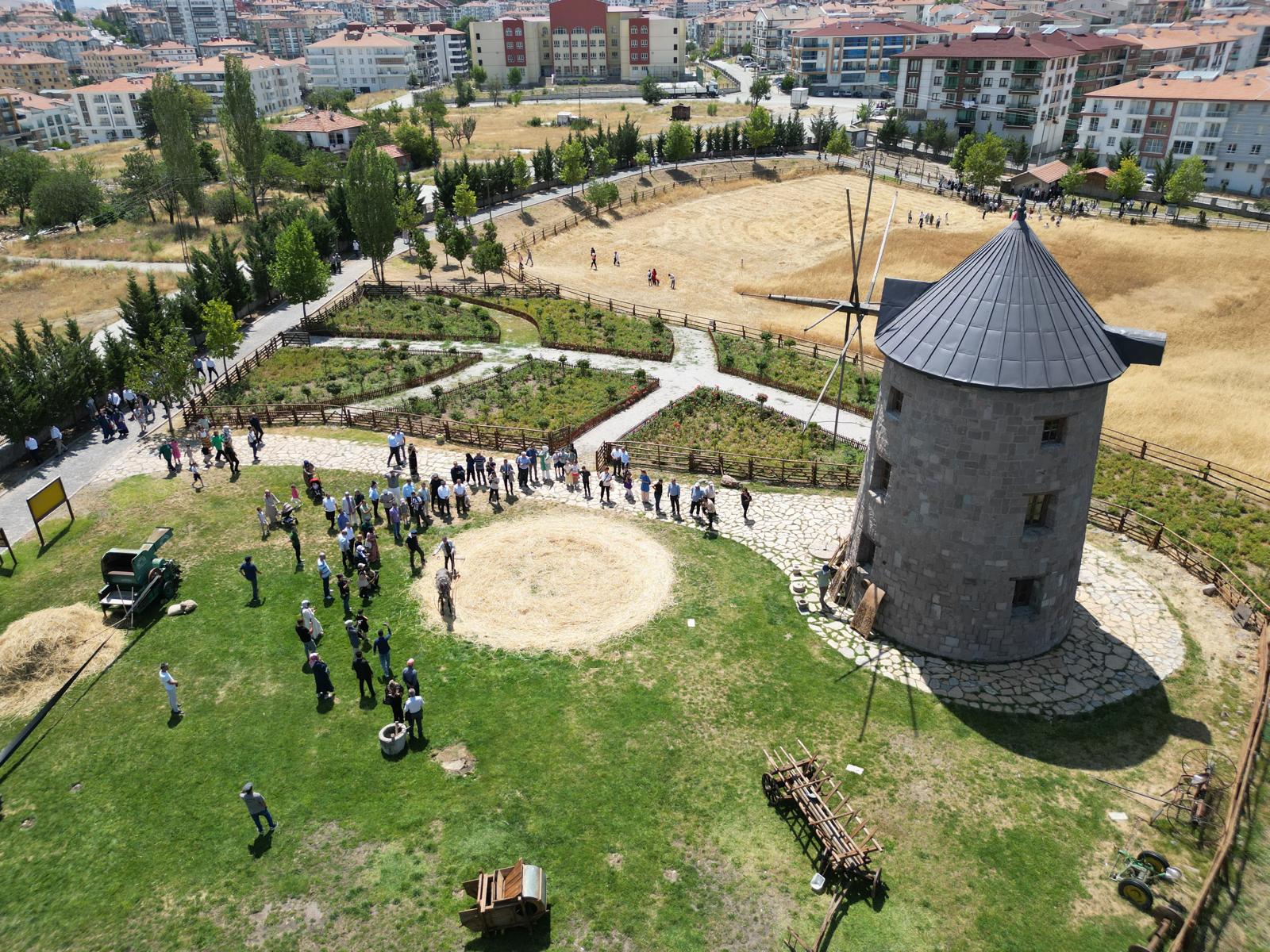 Altınköy'de hasat heyecanı