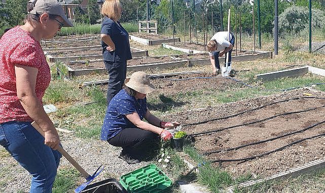 Kent tarım'da sonbahar dönemi başlıyor