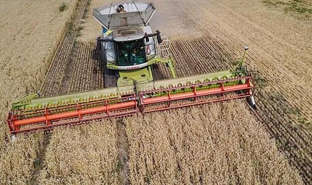 Küresel gıda fiyatları altı aydır geriliyor