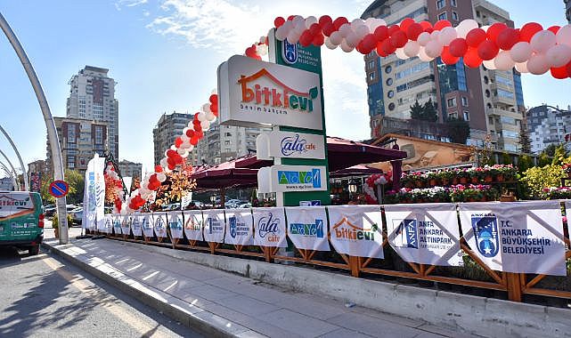Ankara’da bitki evleri yaygınlaşıyor