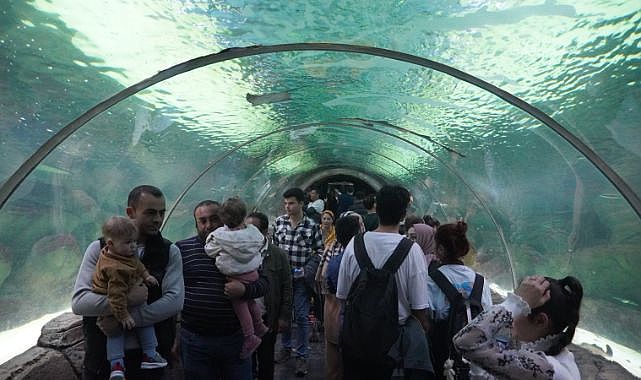 Deniz dünyası’nda meraklı bakışlar