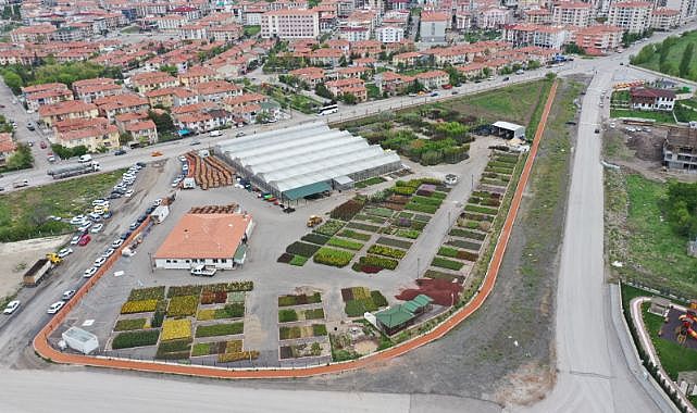 Keçiören’deki akıllı serada muz yetiştiriliyor