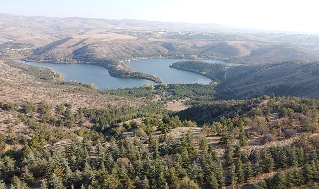 Ankara'da ormanlık alanlara girişler yasaklandı