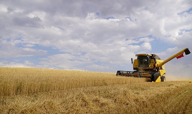 Keçiören’de buğday hasadı yapıldı