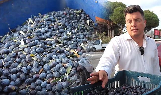 Hileli zeytinyağına dikkat. Fiyatlar hızlı bir şekilde artabilir