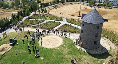 Altınköy'de hasat heyecanı