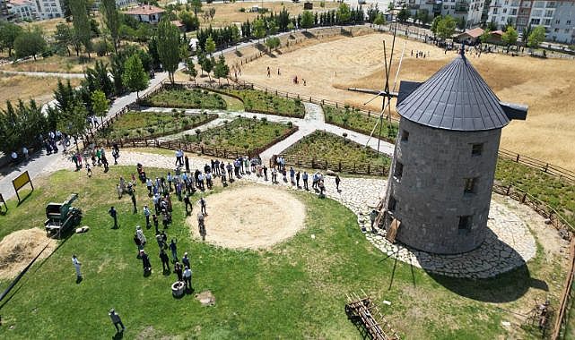 Altınköy'de hasat heyecanı