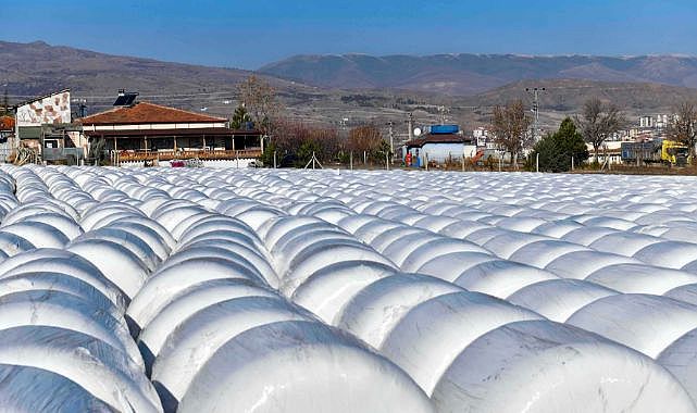 Kalecikli üreticiye can suyu
