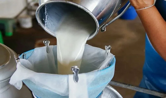 Türkiye’de süt üretimi yükseliyor! Mart’ta 1 milyon 15 bin ton süt toplandı