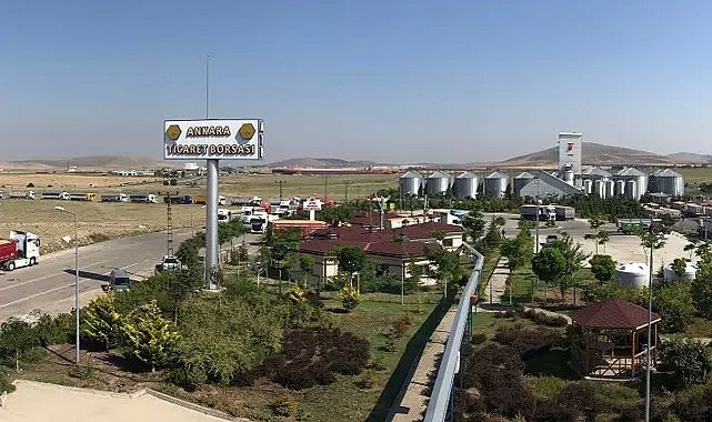 Ankara'da kuraklık nedeniyle verim yüzde 30 düşmüş görünüyor