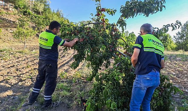 Ankaralı Güriş Holding 674 sosyal sorumluluk projesine imza attı