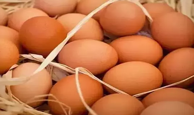 Yumurta fiyatları tekrar yükselmeye başladı