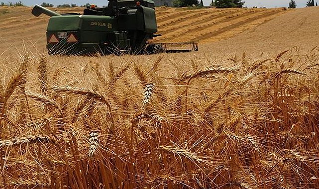 22 yılda Ankara'nın yüz ölçümüne yakın tarım alanı kaybedildi