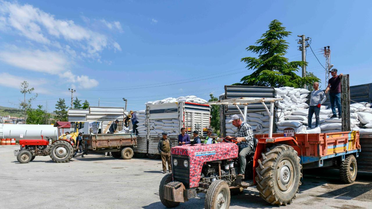 Yüzde 75 hibeli buzaği büyütme yemi desteği kirsaldaki yetiştiriciye can suyu oldu