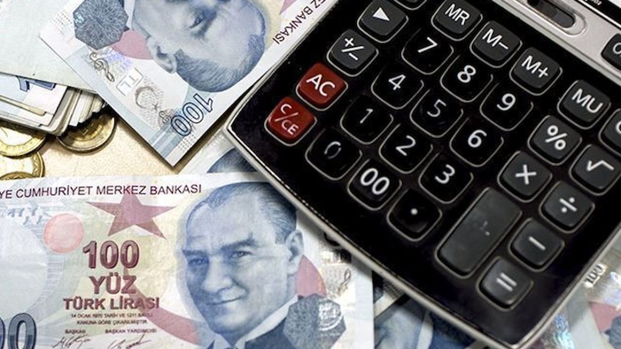 TL'nin değeri haziranda geriledi